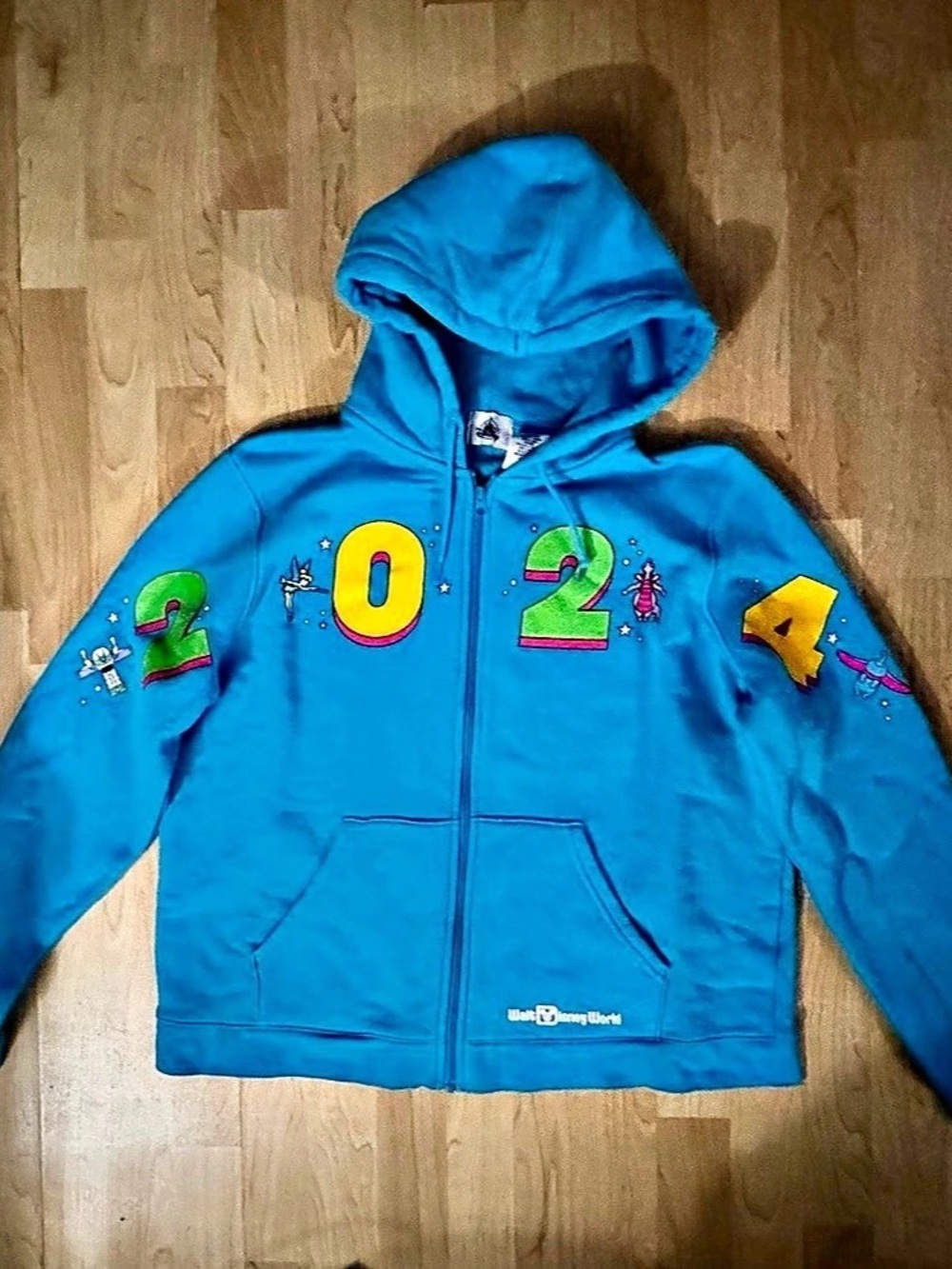 Disney Walt Disney World 2024 Zip Hoodie Blue